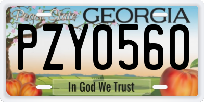 GA license plate PZY0560