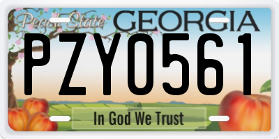 GA license plate PZY0561