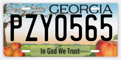 GA license plate PZY0565