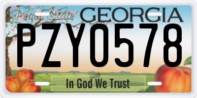 GA license plate PZY0578