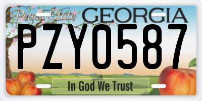 GA license plate PZY0587