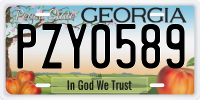 GA license plate PZY0589