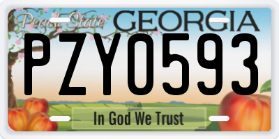 GA license plate PZY0593