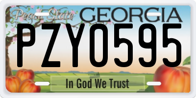 GA license plate PZY0595