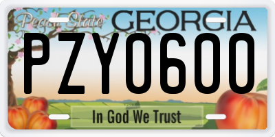 GA license plate PZY0600