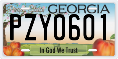 GA license plate PZY0601