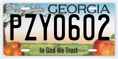 GA license plate PZY0602