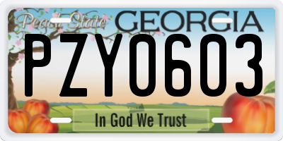 GA license plate PZY0603