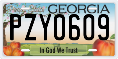 GA license plate PZY0609