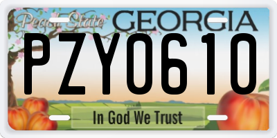 GA license plate PZY0610