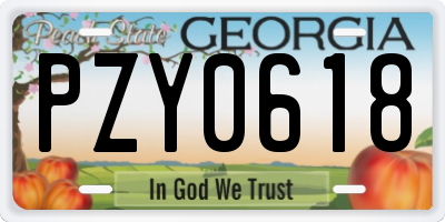 GA license plate PZY0618