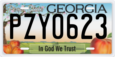 GA license plate PZY0623
