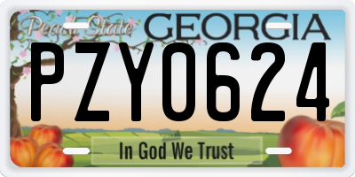 GA license plate PZY0624