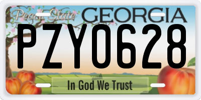 GA license plate PZY0628