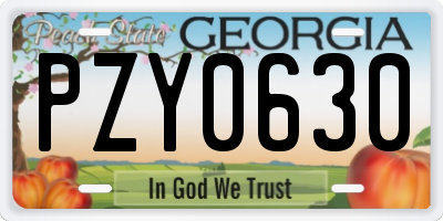 GA license plate PZY0630