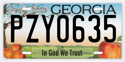 GA license plate PZY0635