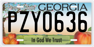 GA license plate PZY0636