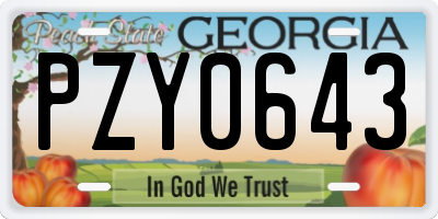 GA license plate PZY0643