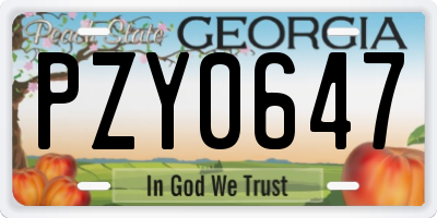 GA license plate PZY0647