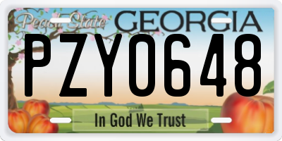 GA license plate PZY0648