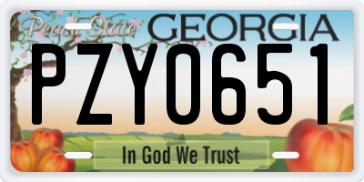 GA license plate PZY0651