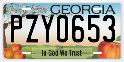GA license plate PZY0653