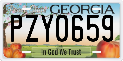 GA license plate PZY0659