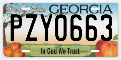 GA license plate PZY0663