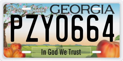 GA license plate PZY0664
