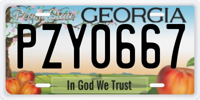 GA license plate PZY0667
