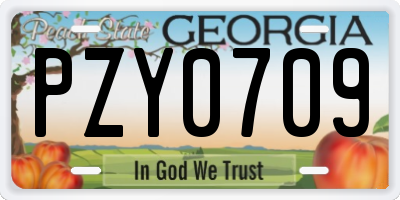 GA license plate PZY0709