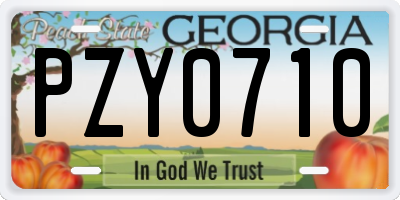 GA license plate PZY0710