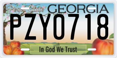 GA license plate PZY0718