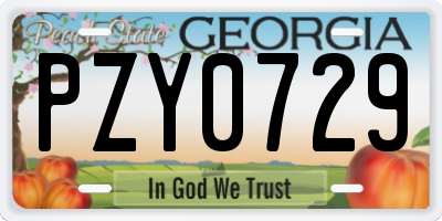 GA license plate PZY0729