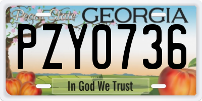 GA license plate PZY0736