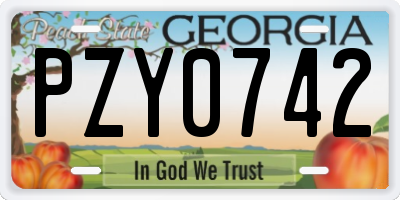 GA license plate PZY0742