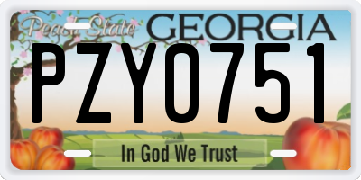 GA license plate PZY0751