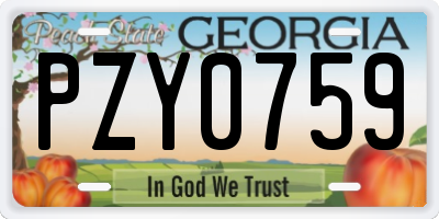 GA license plate PZY0759