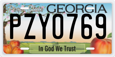 GA license plate PZY0769