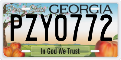 GA license plate PZY0772
