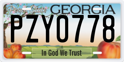 GA license plate PZY0778