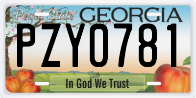 GA license plate PZY0781
