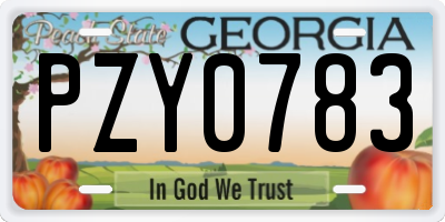 GA license plate PZY0783