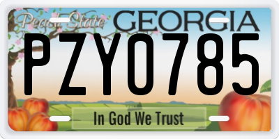 GA license plate PZY0785