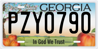 GA license plate PZY0790