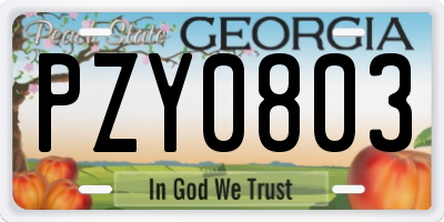GA license plate PZY0803