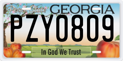 GA license plate PZY0809