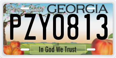 GA license plate PZY0813