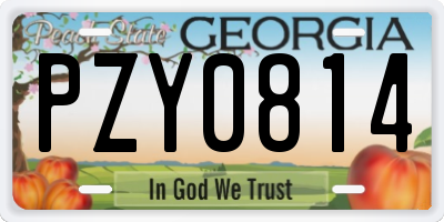 GA license plate PZY0814