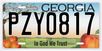 GA license plate PZY0817